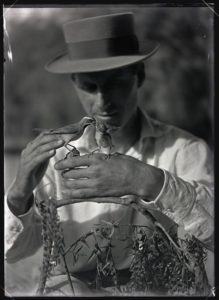 Photograph of William L. Finley holding desert sparrows (1910)